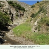 spialia orbifer talysh biotope1